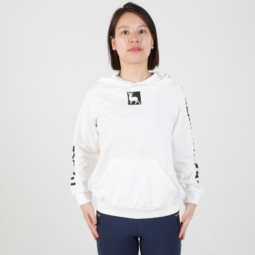 Hoodie 04 280G 95%Cotton 5% Spandex Printing Letter Sleeve and Logo  Loose Fit Equestrian Cotton Hoodies