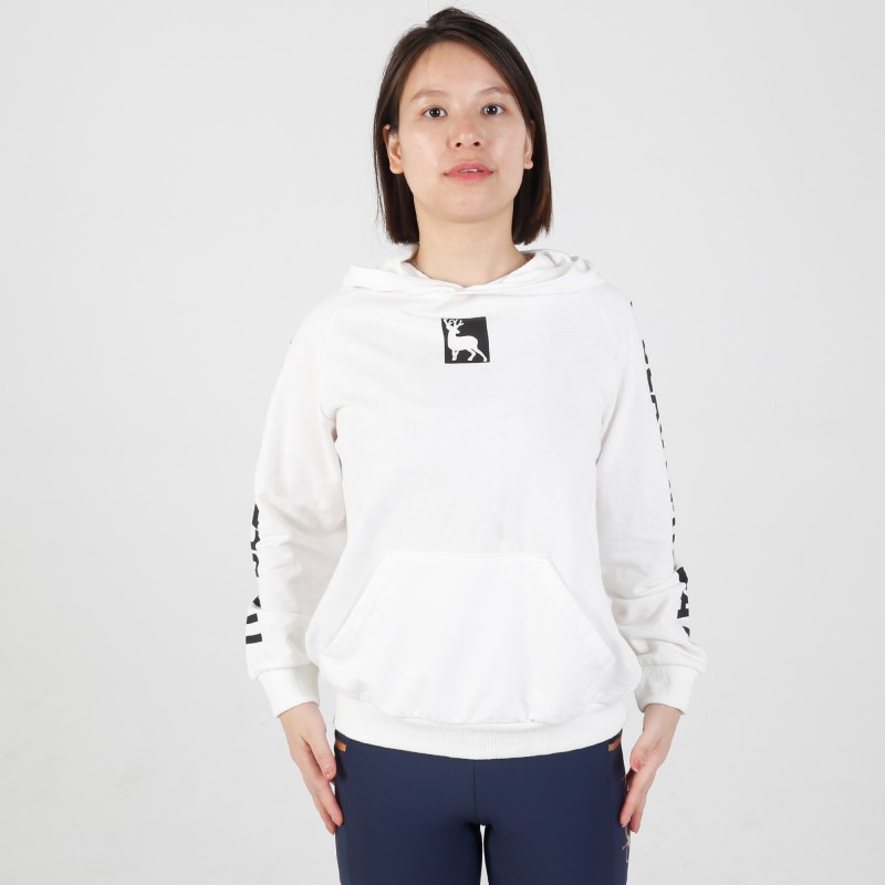 Hoodie 04 280G 95%Cotton 5% Spandex Printing Letter Sleeve and Logo  Loose Fit Equestrian Cotton Hoodies 