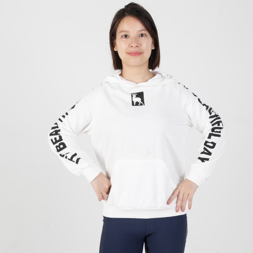 Hoodie 04 280G 95%Cotton 5% Spandex Printing Letter Sleeve and Logo  Loose Fit Equestrian Cotton Hoodies