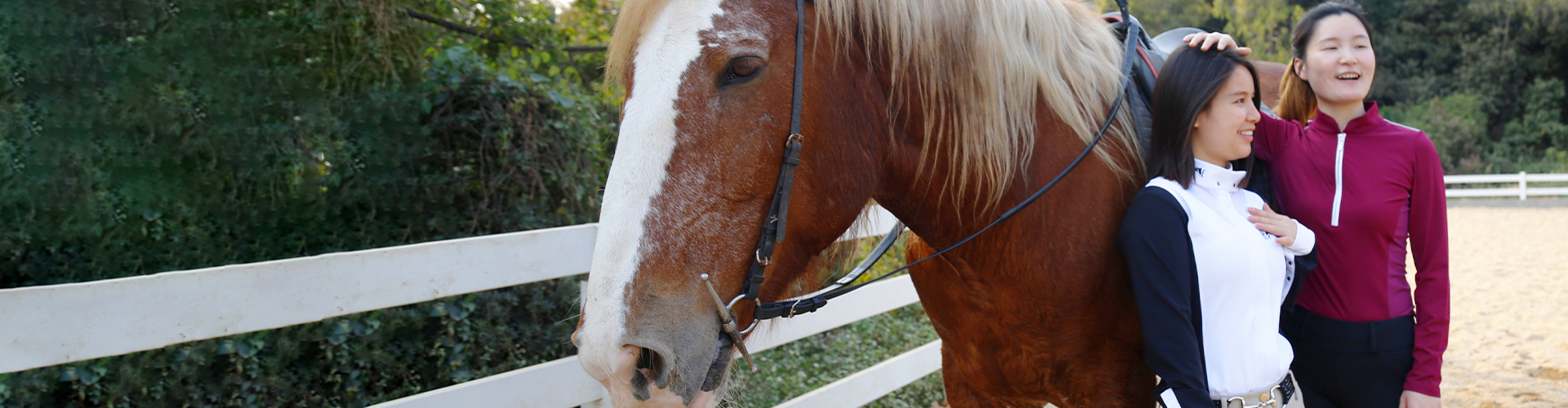 Equestrian